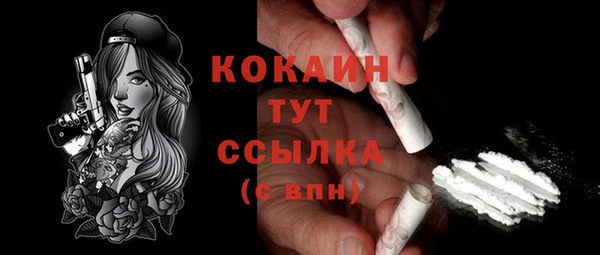 тгк Алзамай