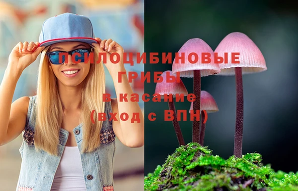 тгк Алзамай