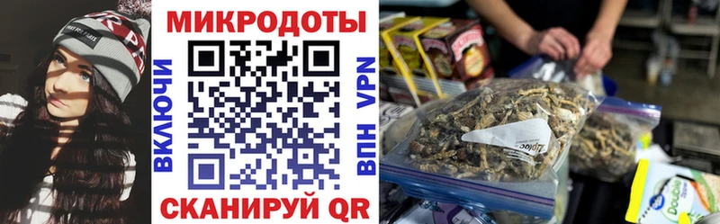Псилоцибиновые грибы MAGIC MUSHROOMS  маркетплейс наркотические препараты  Пучеж 